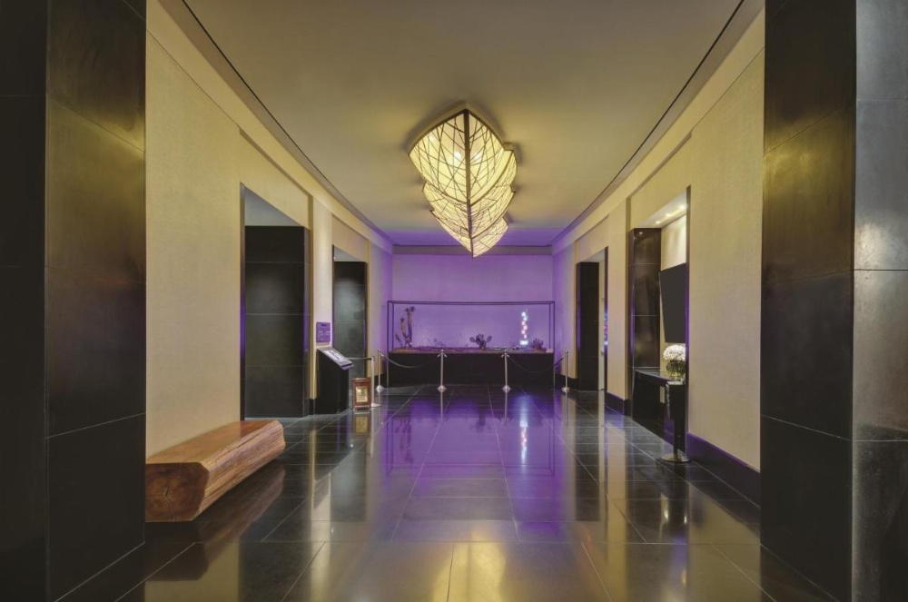Delano Las Vegas At Mandalay Bay Image 29